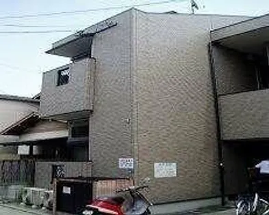 ピュア清水の画像