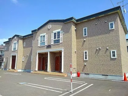 アクティブ豆の木の画像