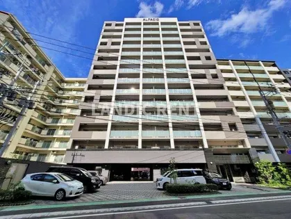 アルファシオサウスフォンテの画像