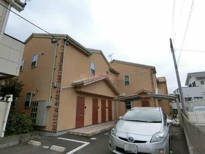 DAITOSTYLETINAの画像