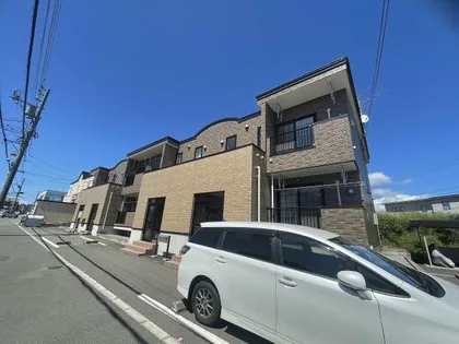 フェルマ桔梗の画像