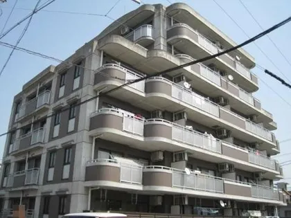 スクエアモラビトの画像