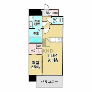 T.T城西【901号室】の間取り