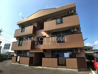 ザ ブライトンの画像