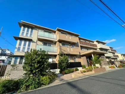 オリーヴの画像