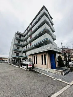 コン タント アモーレの画像