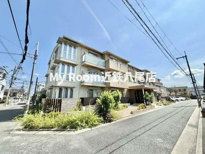 オリーヴの画像