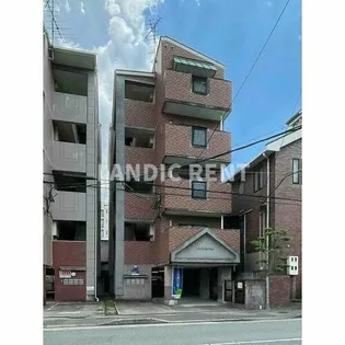 トレンチーノの画像