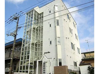 ホワイトタイムの画像