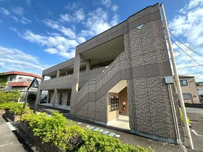 ゼン アムールの画像