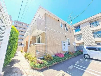 シャルマン 花みずきの画像