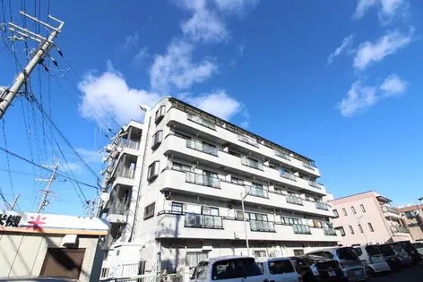 ロイヤル暁の画像