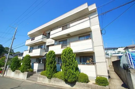 ルミエールの画像