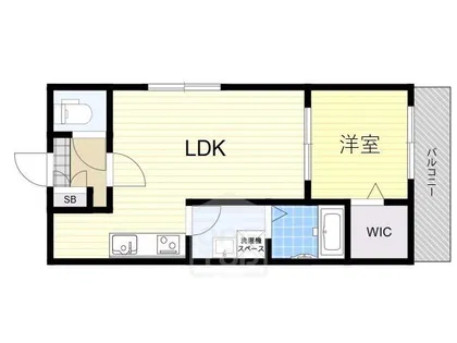 シナジー茨木【3階】の間取り