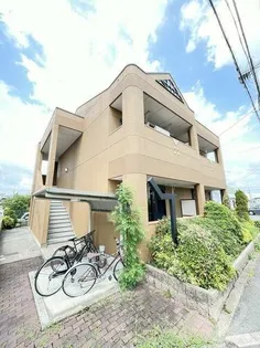 ポラリスの画像