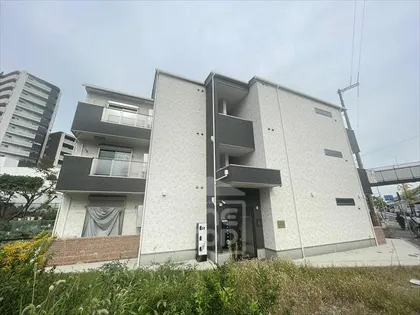 LUZ VIOLETAの画像