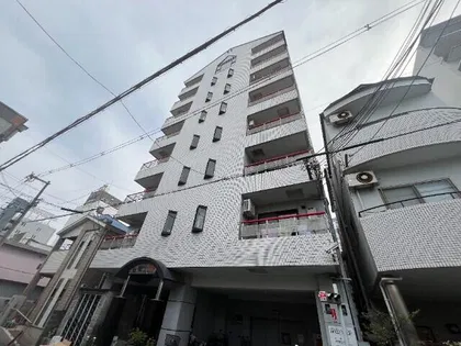 MSコートの画像