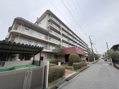 パストラル甲子園の画像