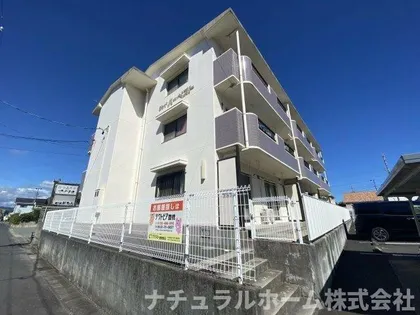 ジョイハーベストの画像