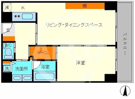 おおきに東心斎橋ビル【6階】の間取り
