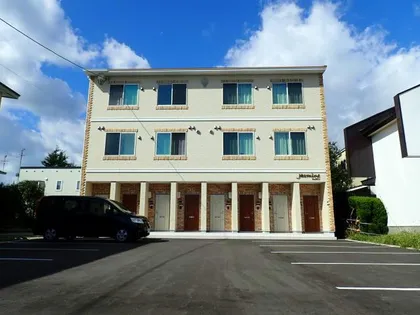 ジャスミンの画像