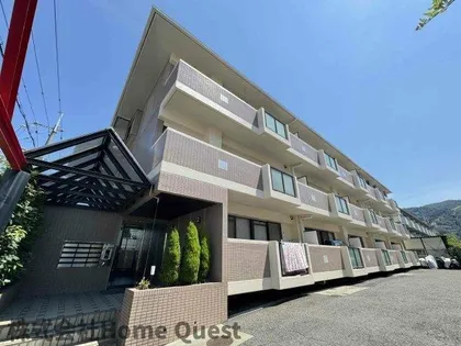 パストラルタツミの画像