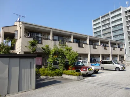 セントポーリアAの画像