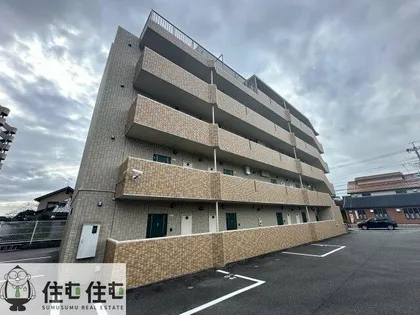 アンジェロの画像