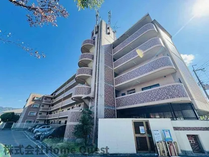 ヴェルドミール山本の画像