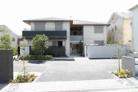 マンダリーヌの画像