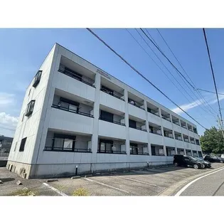 アイランドM【203号室】の外観