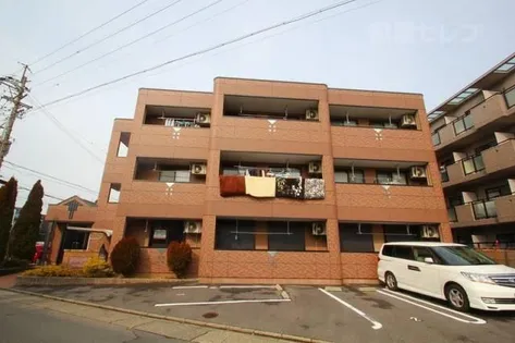 サリーダS Tの画像