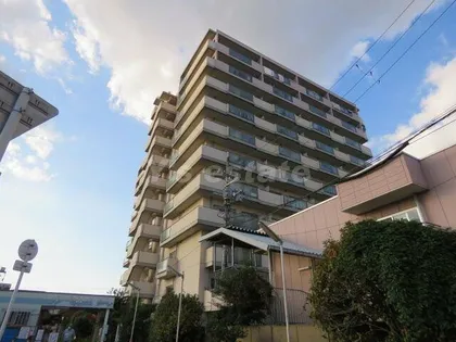 ハイムカランツの画像