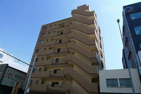 シャンブルナルカワの画像