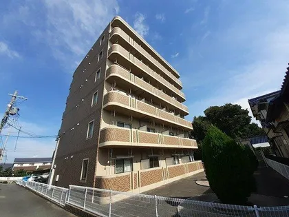 プラシード アルバの画像