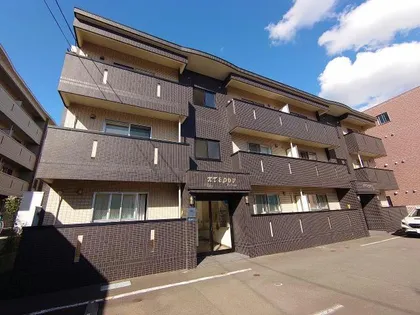 プテロンの画像