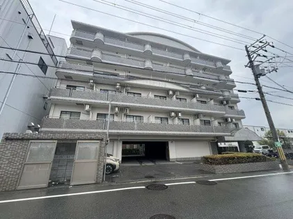 ソフィアコートの画像