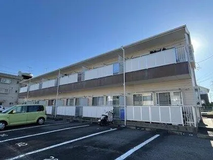 タウニーKの画像