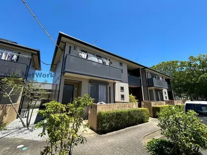 セルリアンコートの画像