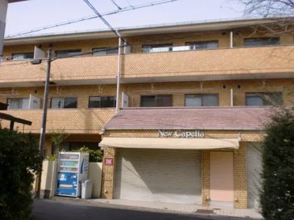 ブルガー光の画像