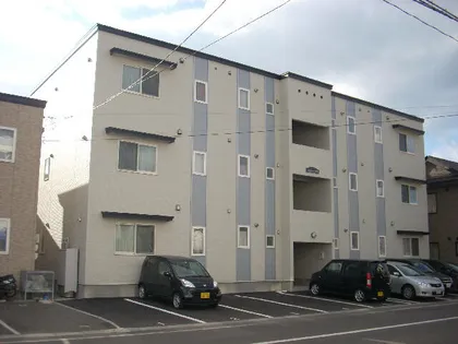 ルピナス昭和の画像