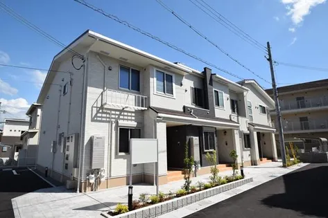 コスモアクレオの画像