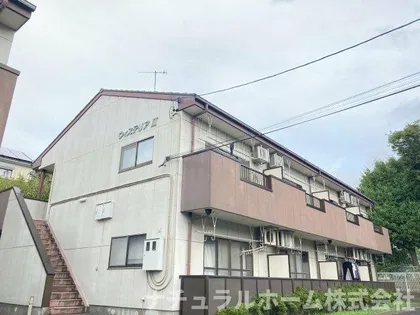 ウィステリアIIの画像