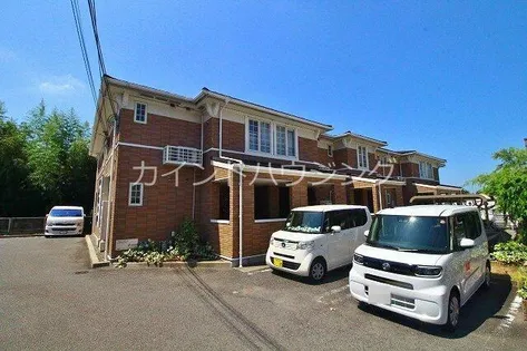 ハミング バードの画像