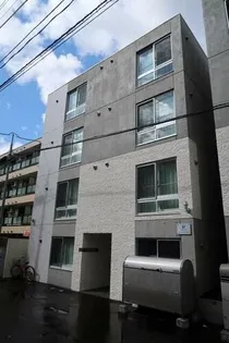 PINO COLLINAの画像