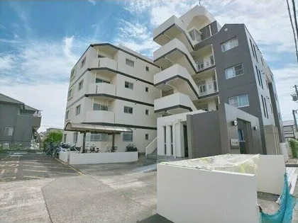 アクシス和宏の画像