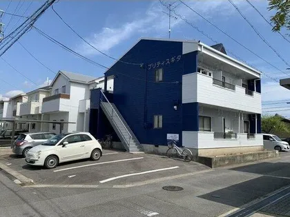 プリティスギタの画像