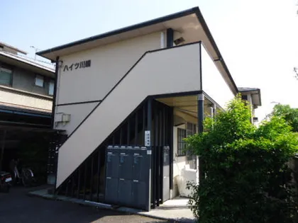 フローラの画像