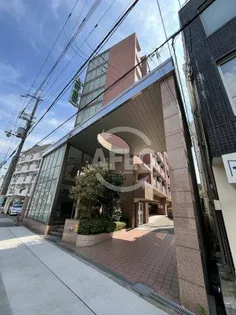 エクセレント上新12の画像