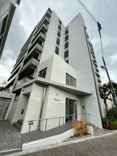 ダイレ エヌの画像